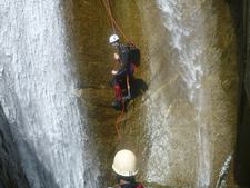 Thumbnail of photo from this article